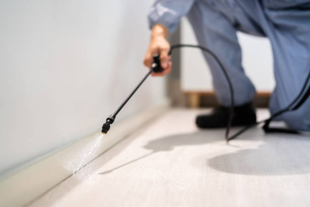 Bed Bug Pre-Treatment Preparation Assessment in Wyoming